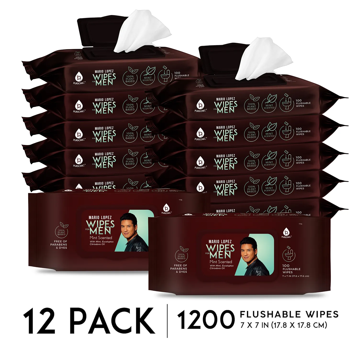 12 Pack of Flushable Mario Lopez Man Wipes (1200 Mint Scented Wipes)