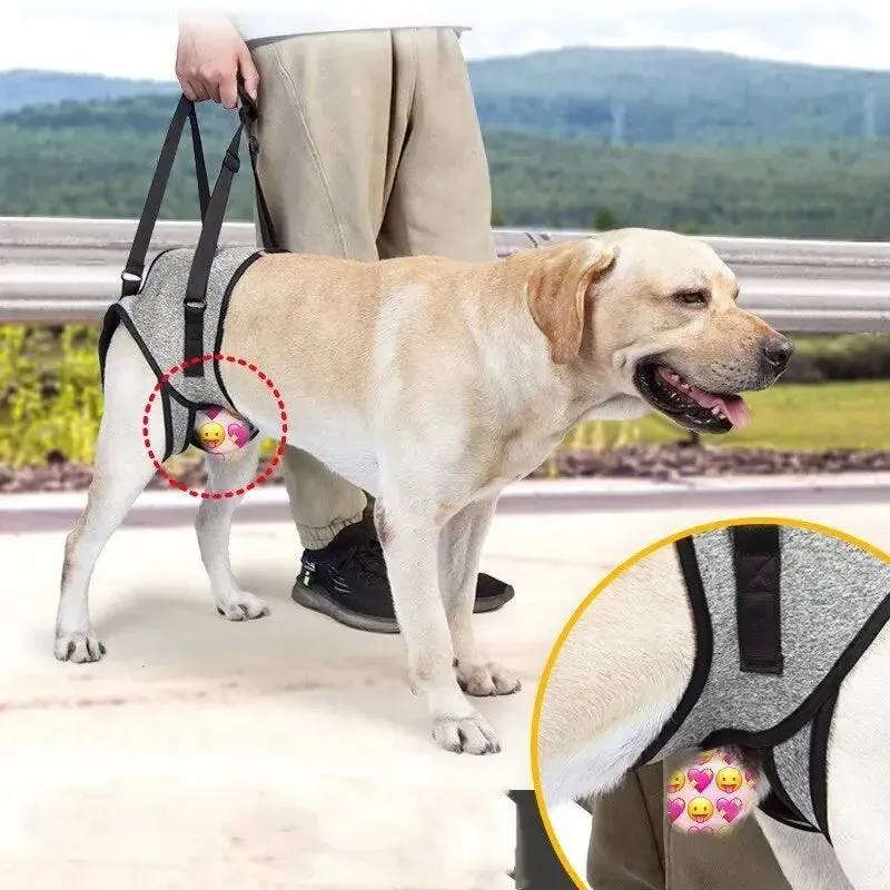 AnniePaw Care Dog Leg Support Harness Gentle Assistance