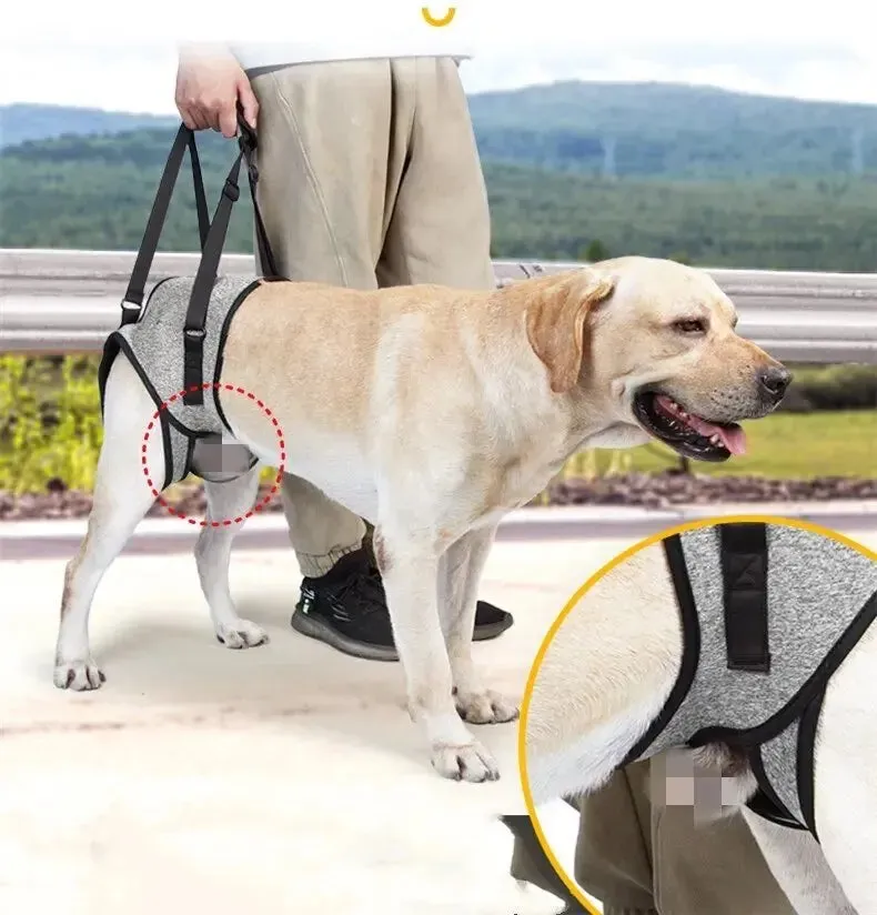 AnniePaw Care Dog Leg Support Harness Gentle Assistance