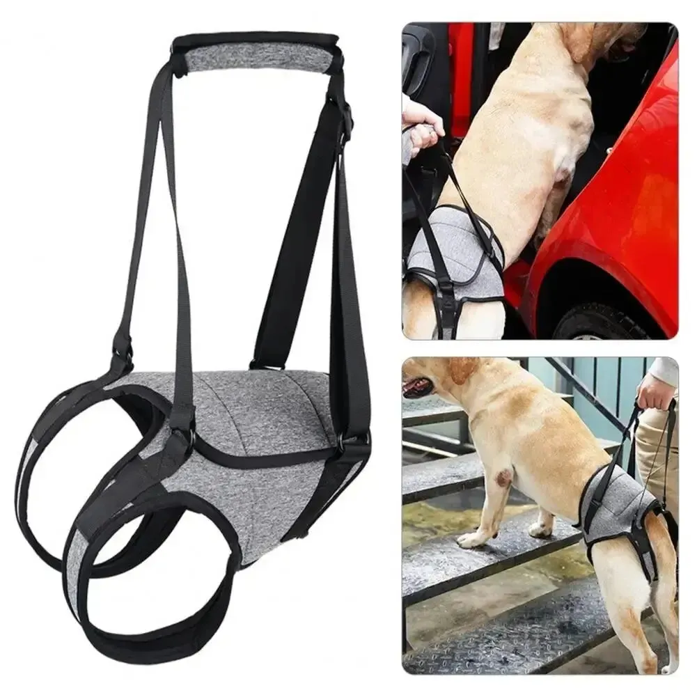 AnniePaw Care Dog Leg Support Harness Gentle Assistance