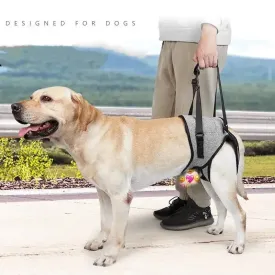 AnniePaw Care Dog Leg Support Harness Gentle Assistance