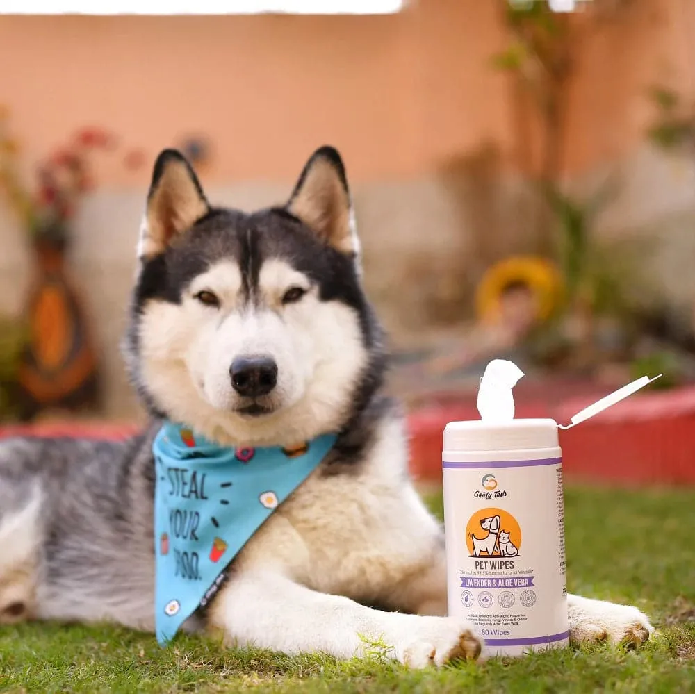 Goofy Tails Wipes for Dogs and Cats