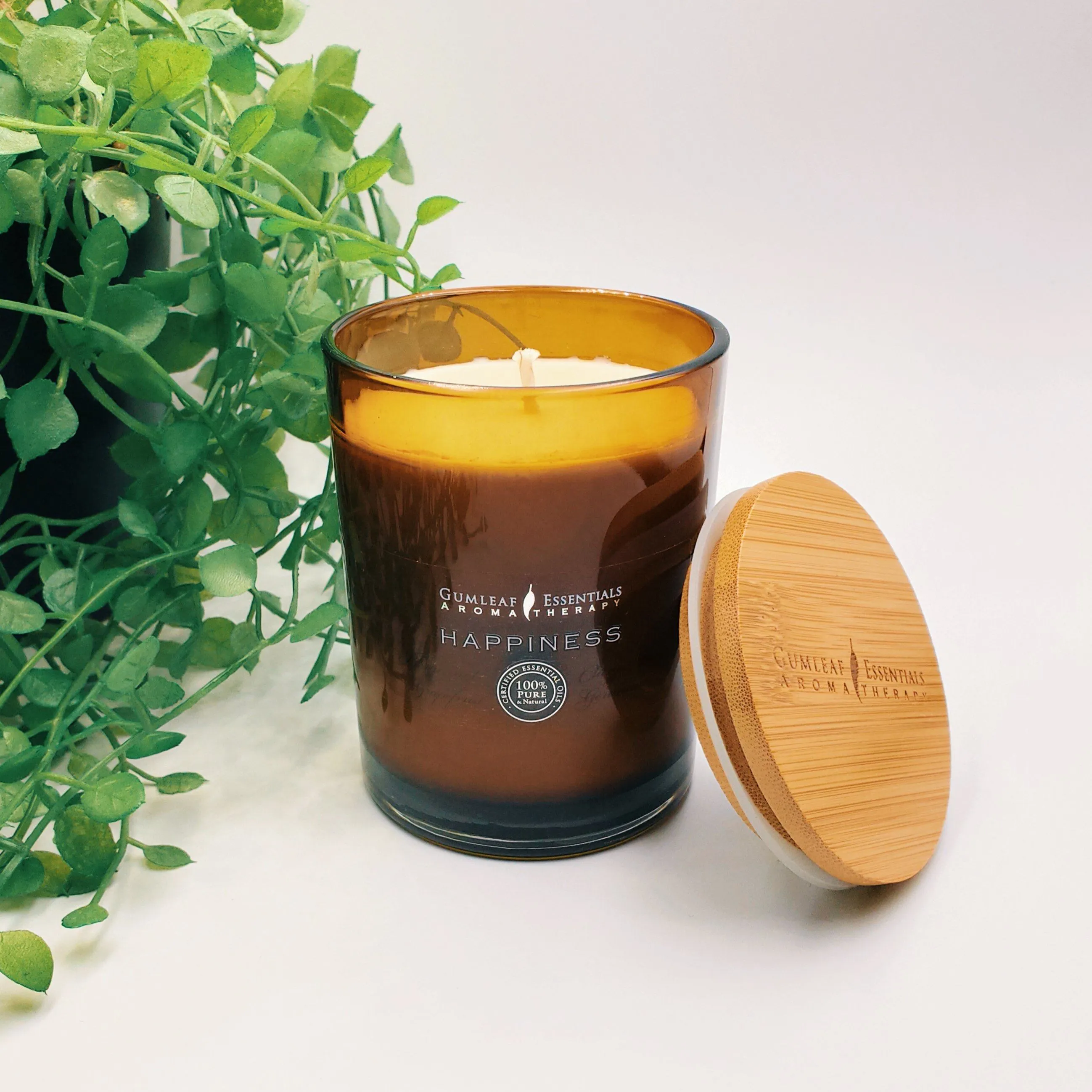 Happiness - Artisan Soy Candle