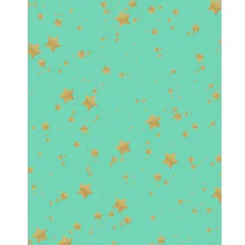 Mint and Gold Glitter Stars Printed Backdrop