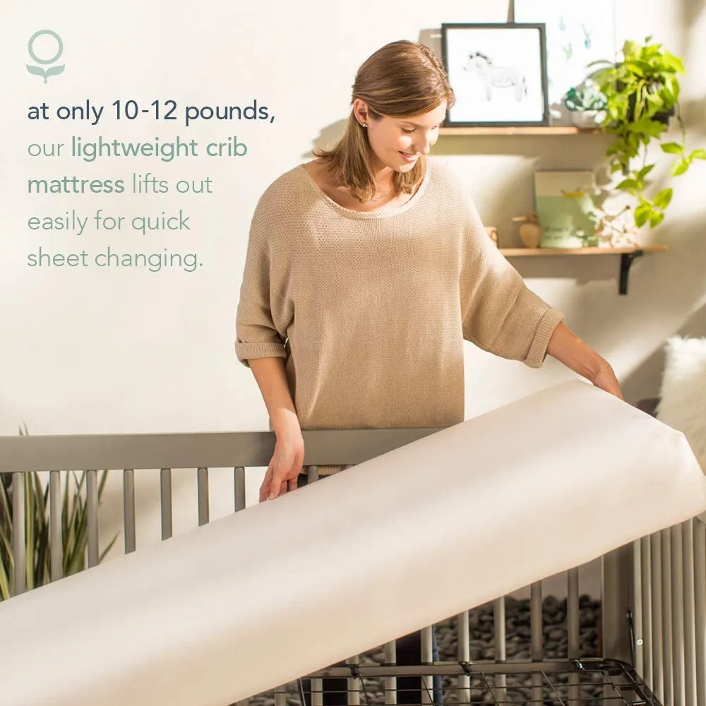 Organic Lightweight Crib Mattress, 2-Stage Natural Mattress for Baby and Toddler Bed, Non-Toxic, 52 x 28 Inches