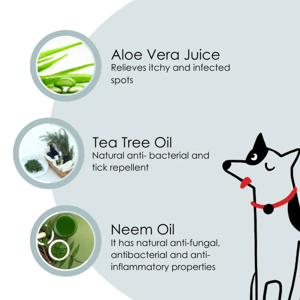 Pet And Parents Anti Bacterial/Tick/Flea Tearless Shampoo for Dogs and Cats