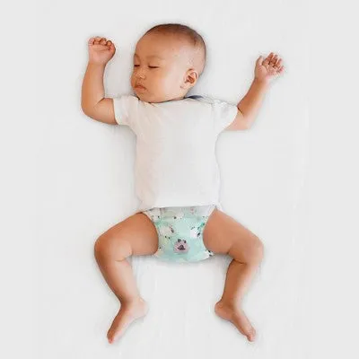 The Honest Company Clean Conscious Sleepy Sheep Disposable Overnight Diapers - Size 3 - 60ct