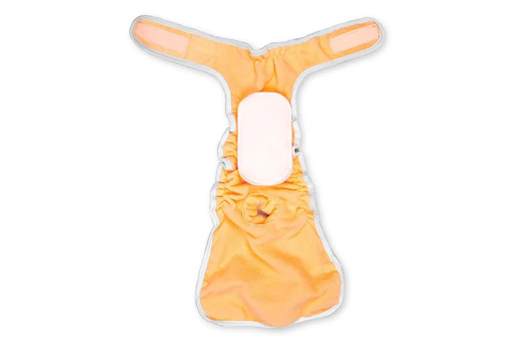 Washable Wonders™ Dog Diaper Pads