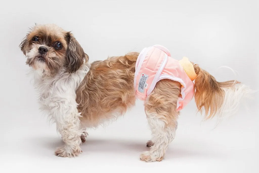 Washable Wonders Female Dog Diaper