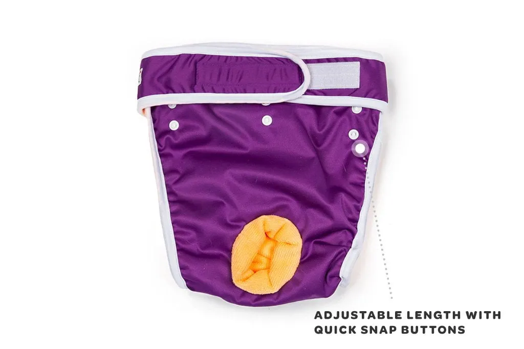 Washable Wonders Female Dog Diaper