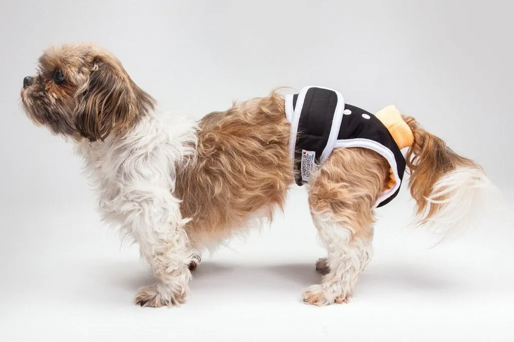 Washable Wonders Male Dog Diaper